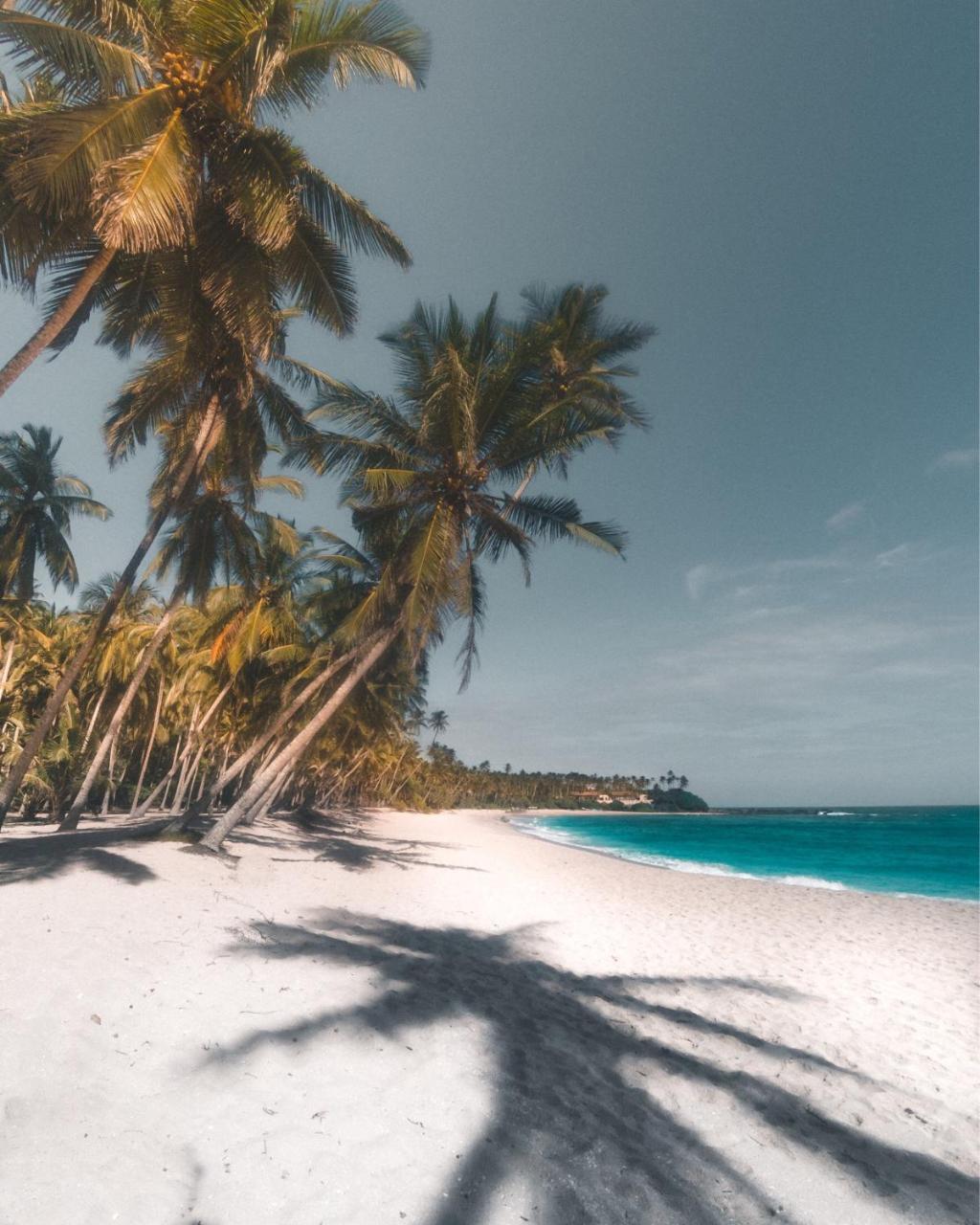 ホテル Aga Surf View タンガラ エクステリア 写真